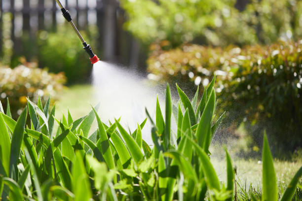 24/7 Emergency Mosquito Control experts in Toquerville, UT